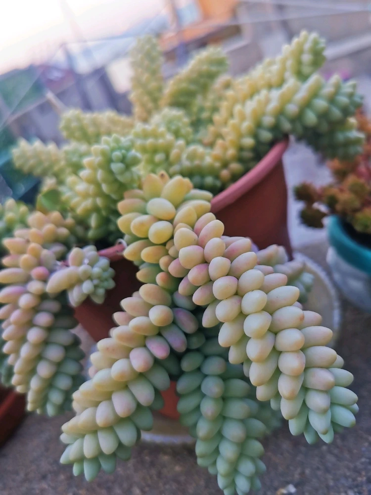 Imagen subida por Carlos