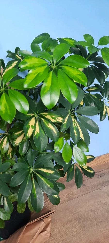 Zdjęcie dodane przez Ania