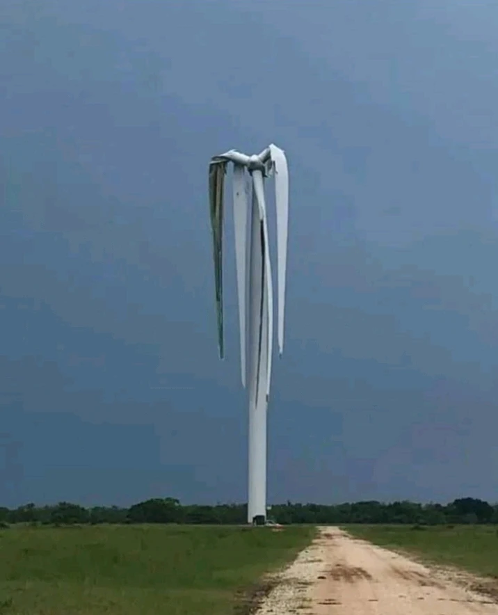 Image uploaded by ♥️ Silly_girl 😘