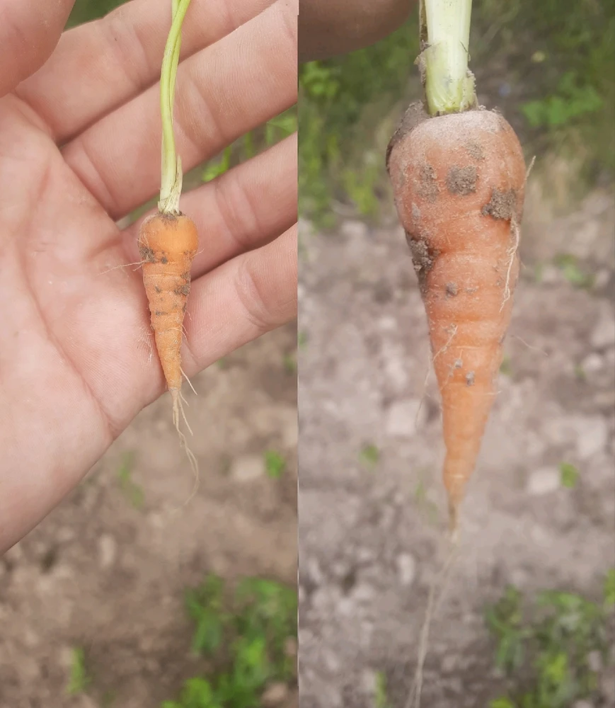 Зображення завантажив Максим