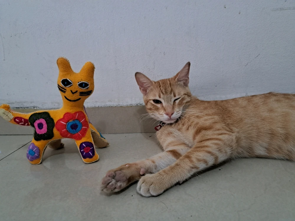 Imagen subida por Dani