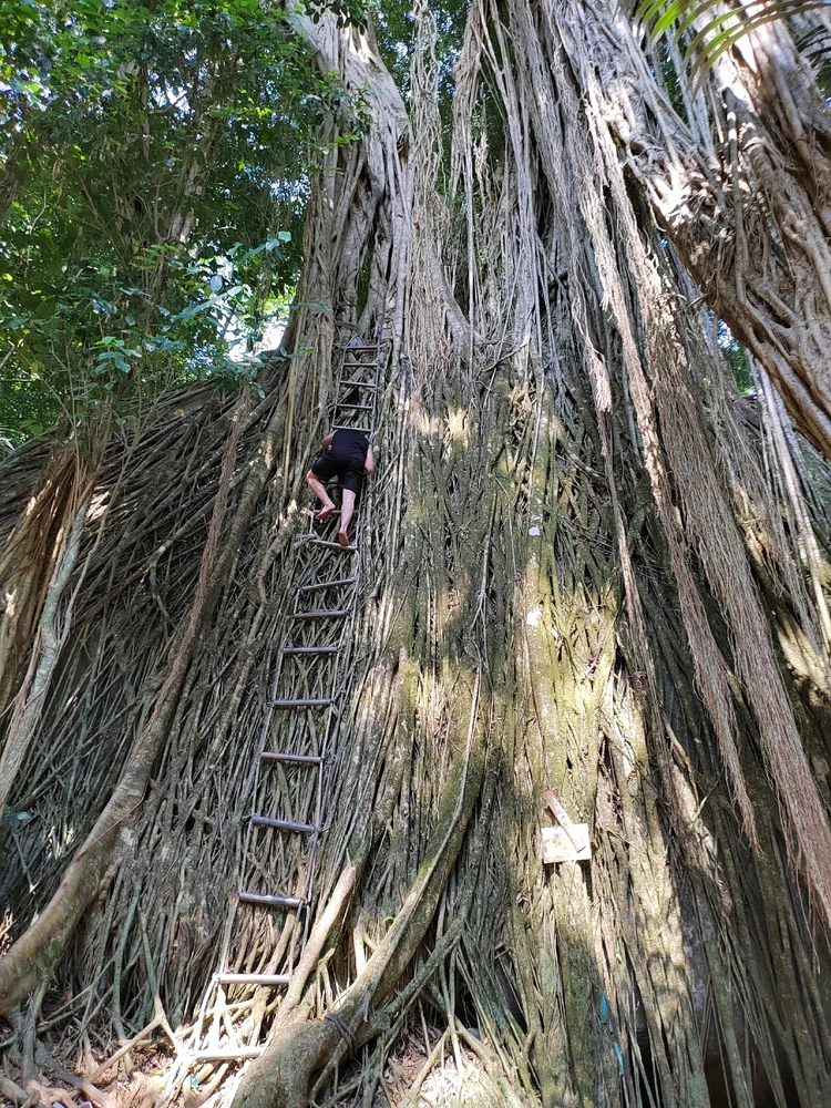 Image uploaded by JasonJ