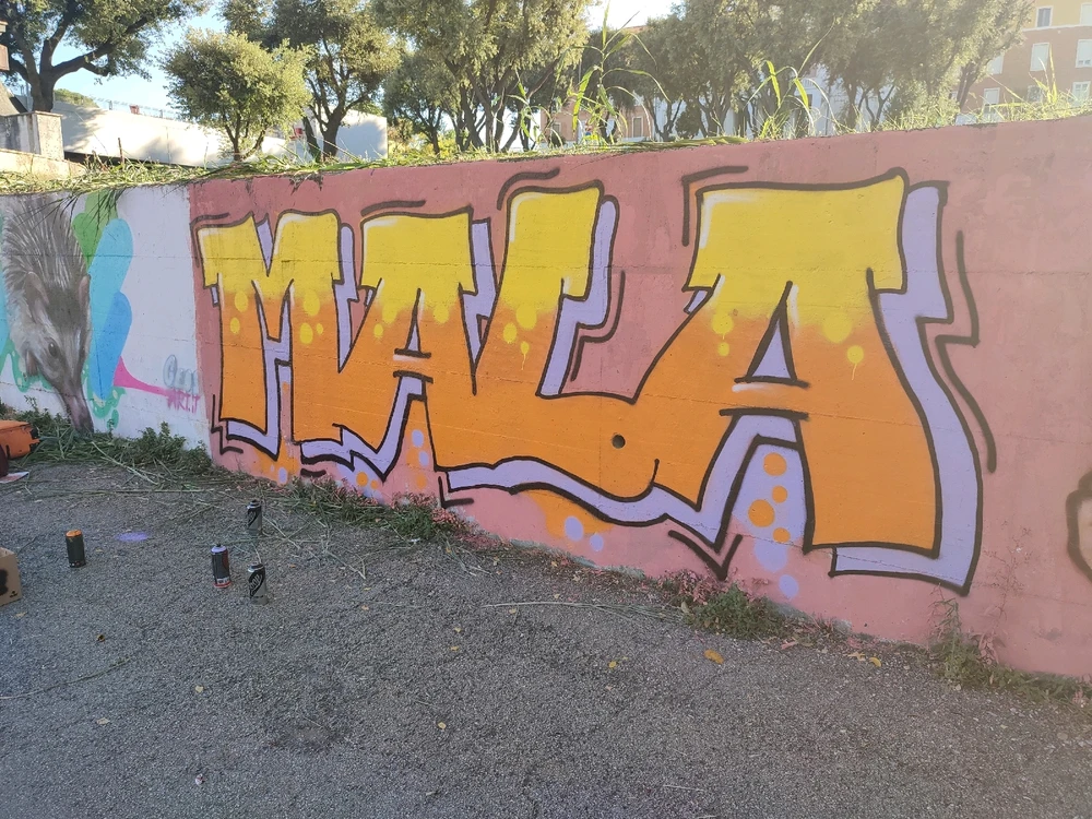 Duab xa los ntawm Silvio