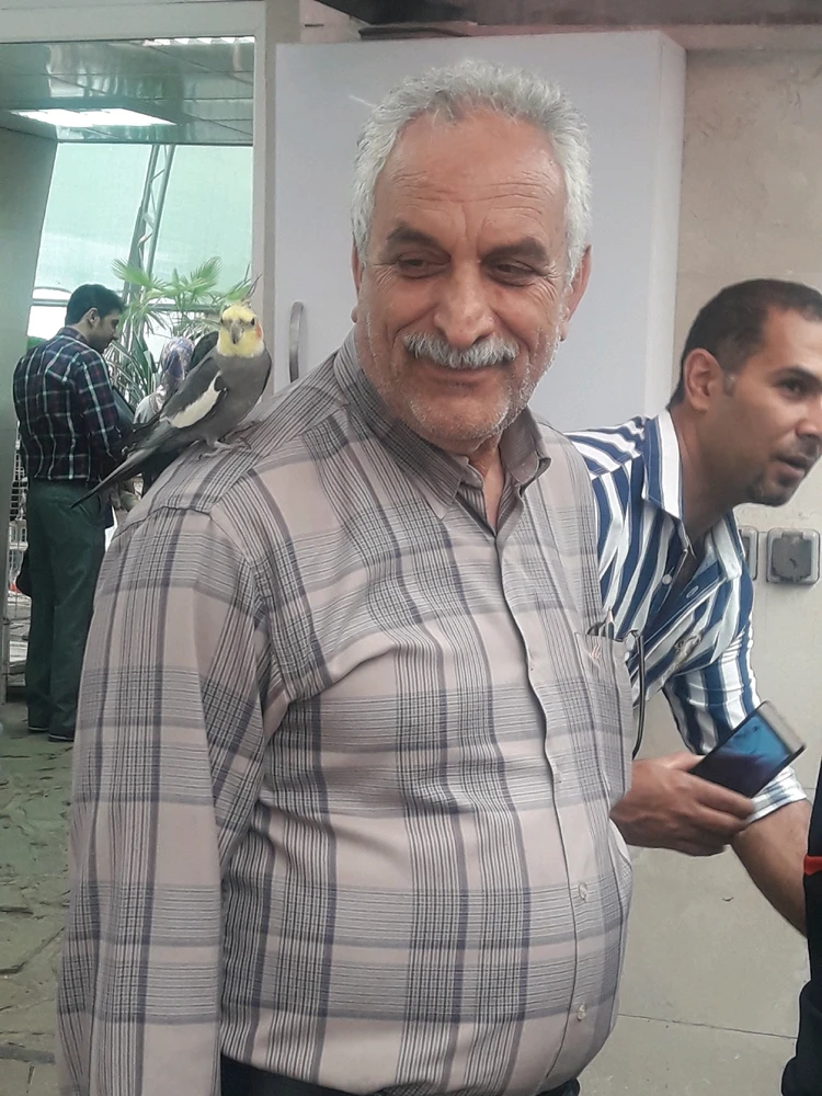 تصویر آپلود شده توسط Shima Kourosh