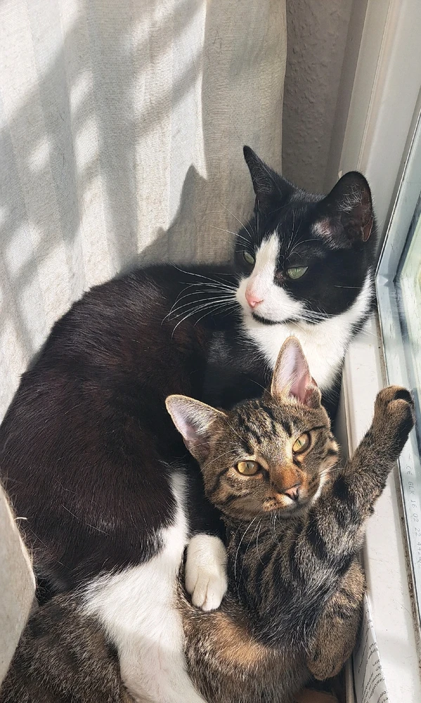 Bild hochgeladen von Brian