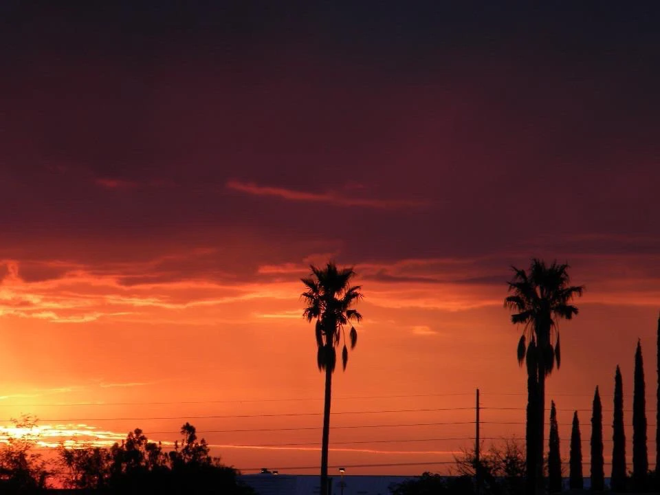 Image uploaded by Kishma