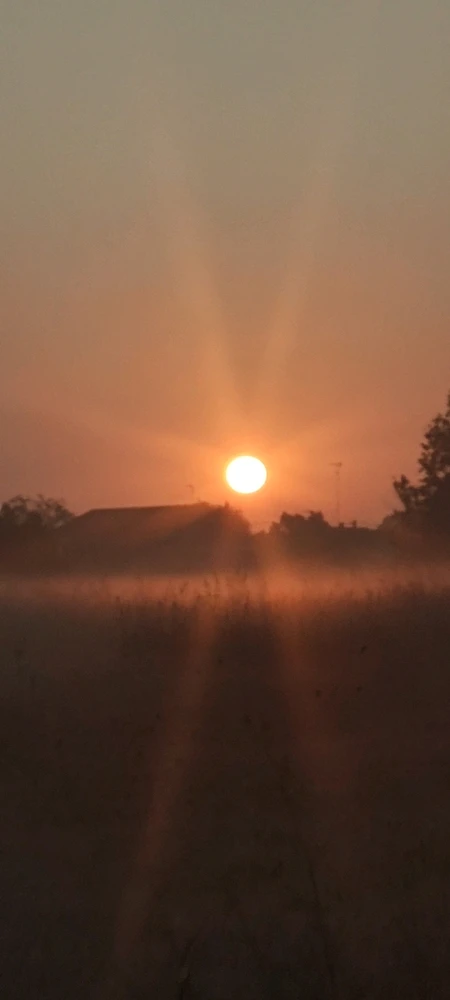 Immagine caricata da Luigi