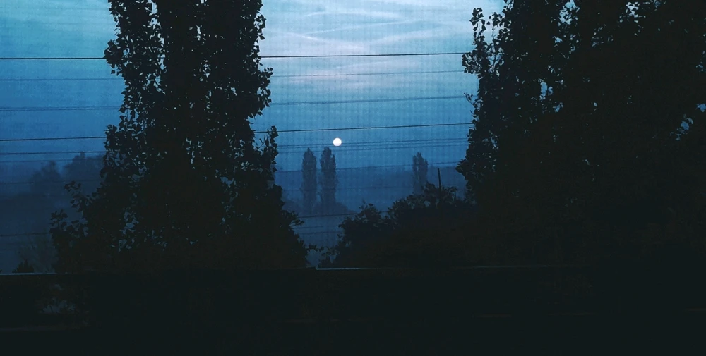 Immagine caricata da Reine