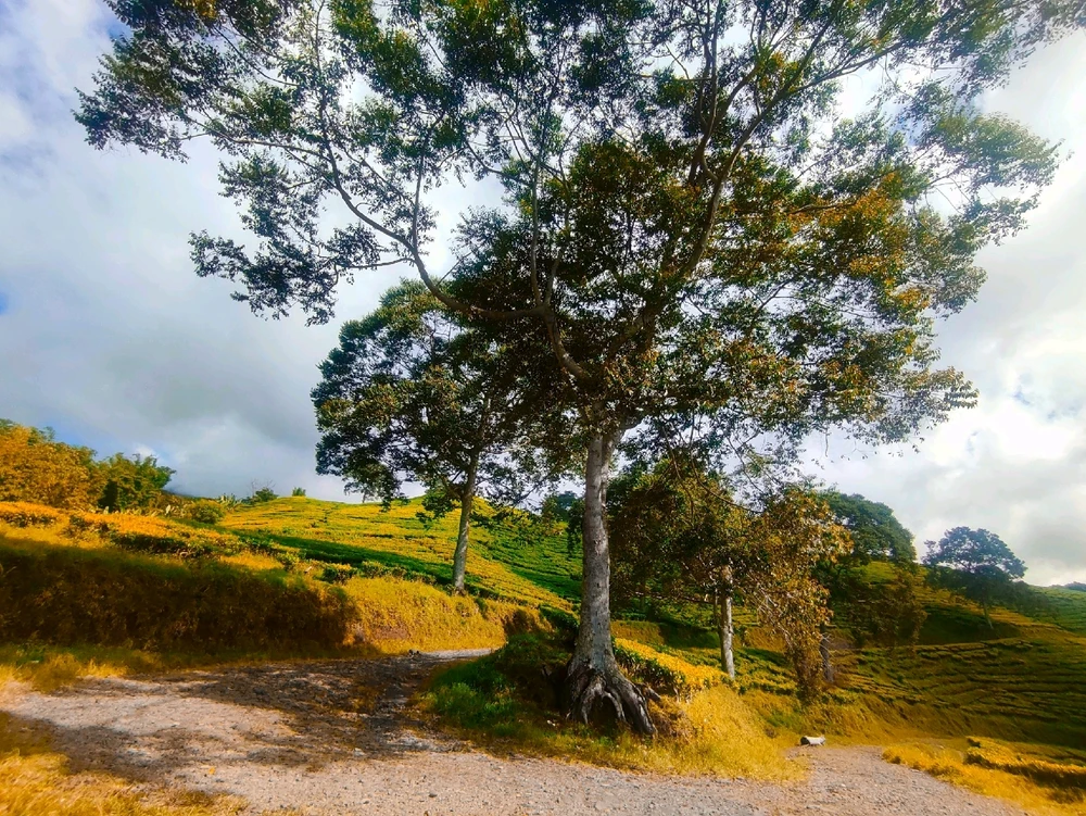 Gambar diunggah oleh S A I F U R