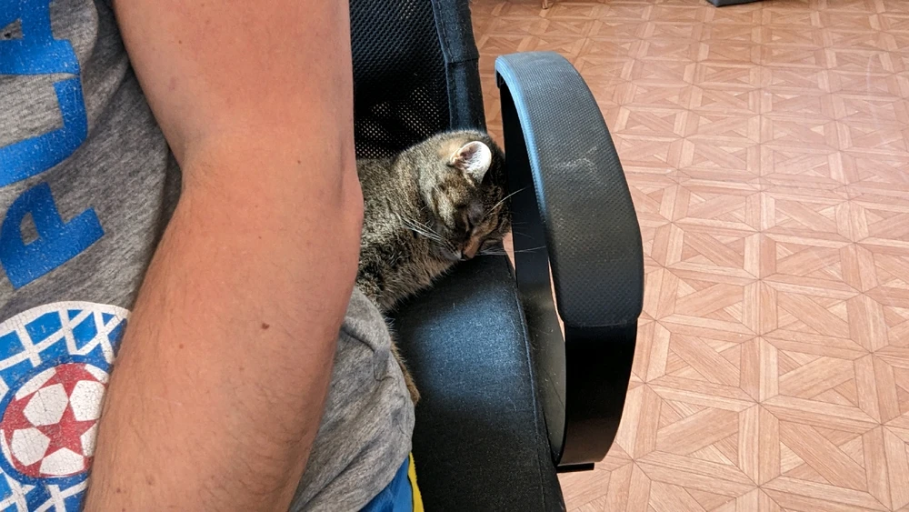 Zdjęcie dodane przez Rafał