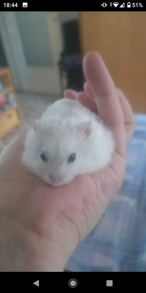 Immagine caricata da Loris