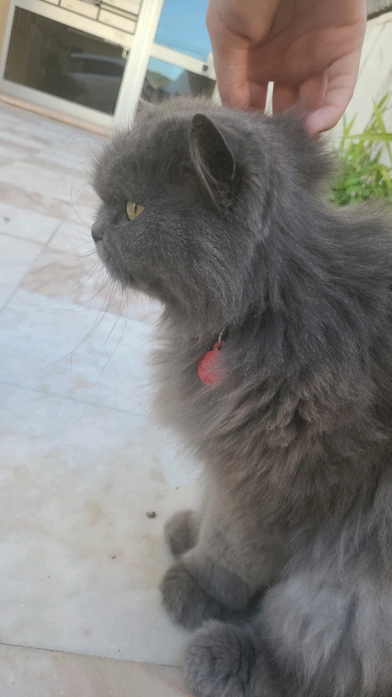 Zdjęcie dodane przez Julia