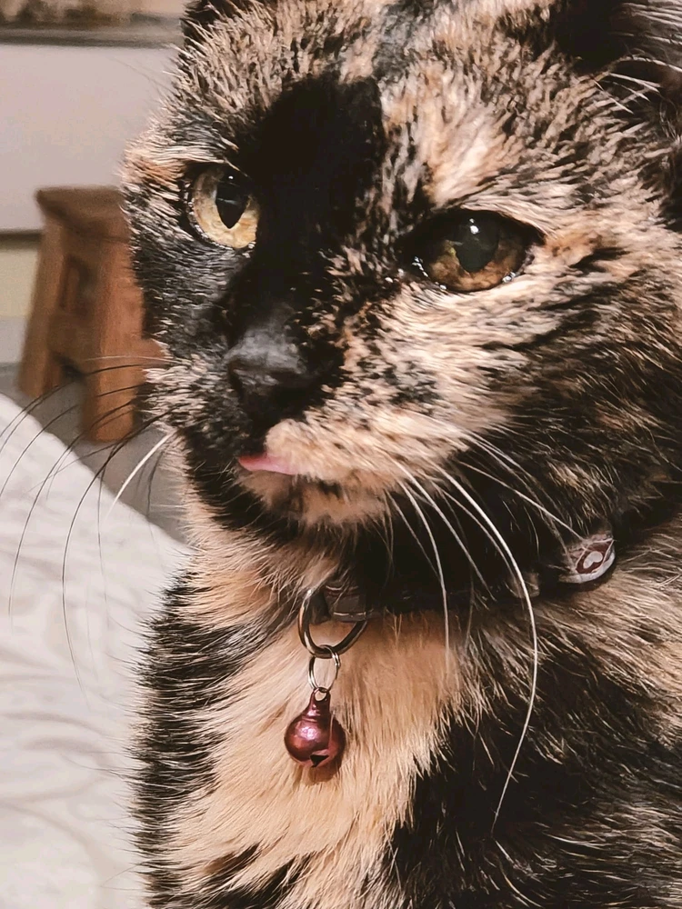 Bild hochgeladen von Melanie