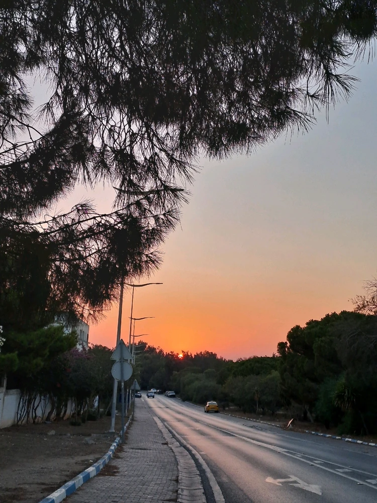 Image uploaded by Kim tass