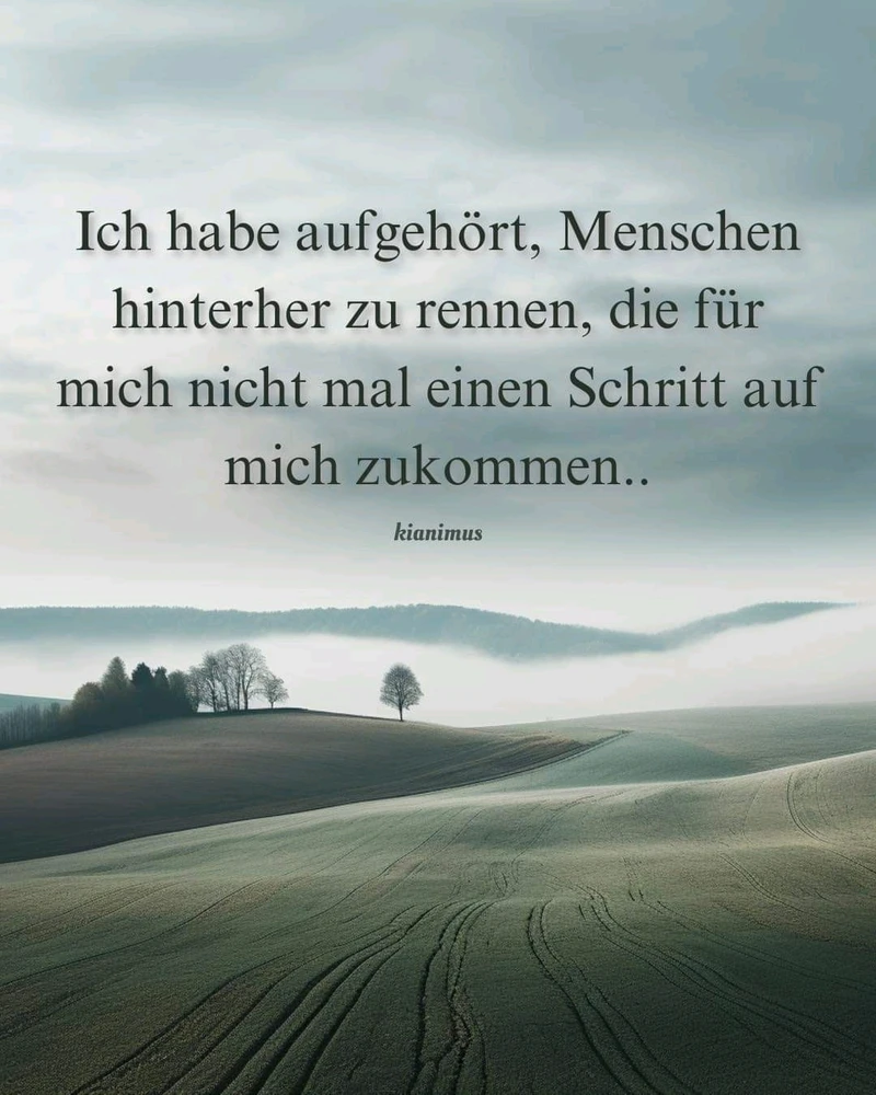 Bild hochgeladen von Turtle