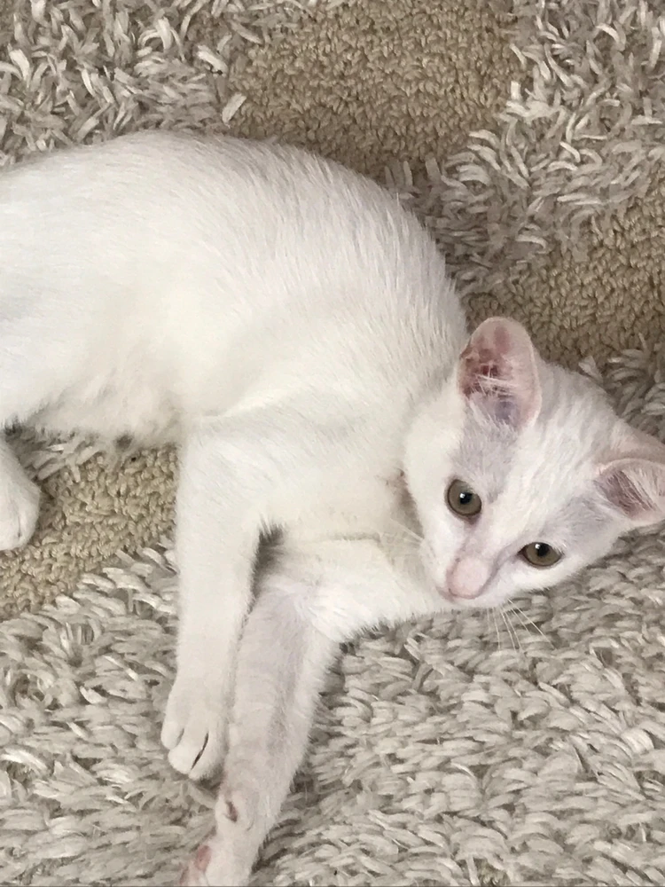 Berk tarafından yüklenen görsel