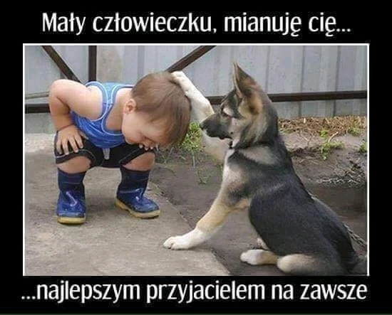 Image uploaded by Marcin Miszczak (Poland 🇵🇱 )