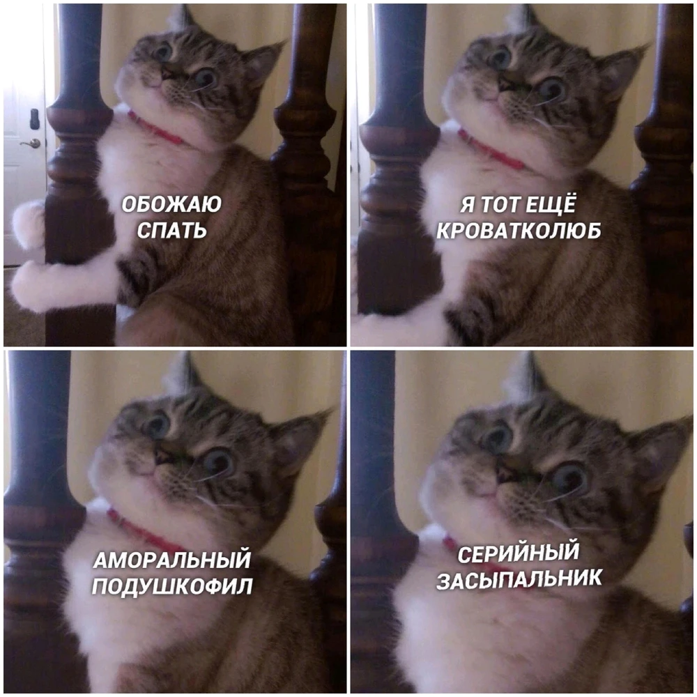 Фото загрузил Анна Аннушка Анюта