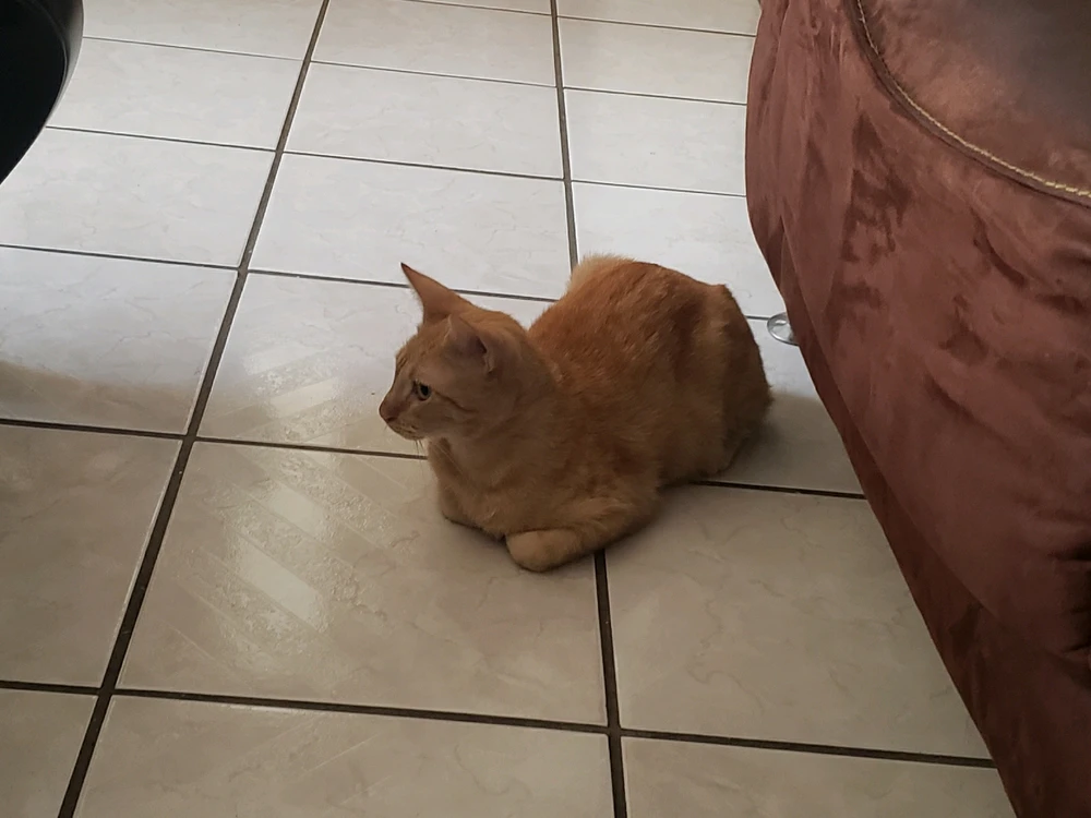 Imagen subida por Paola