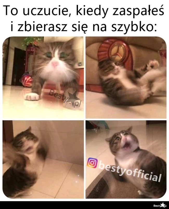 Zdjęcie dodane przez HappySad