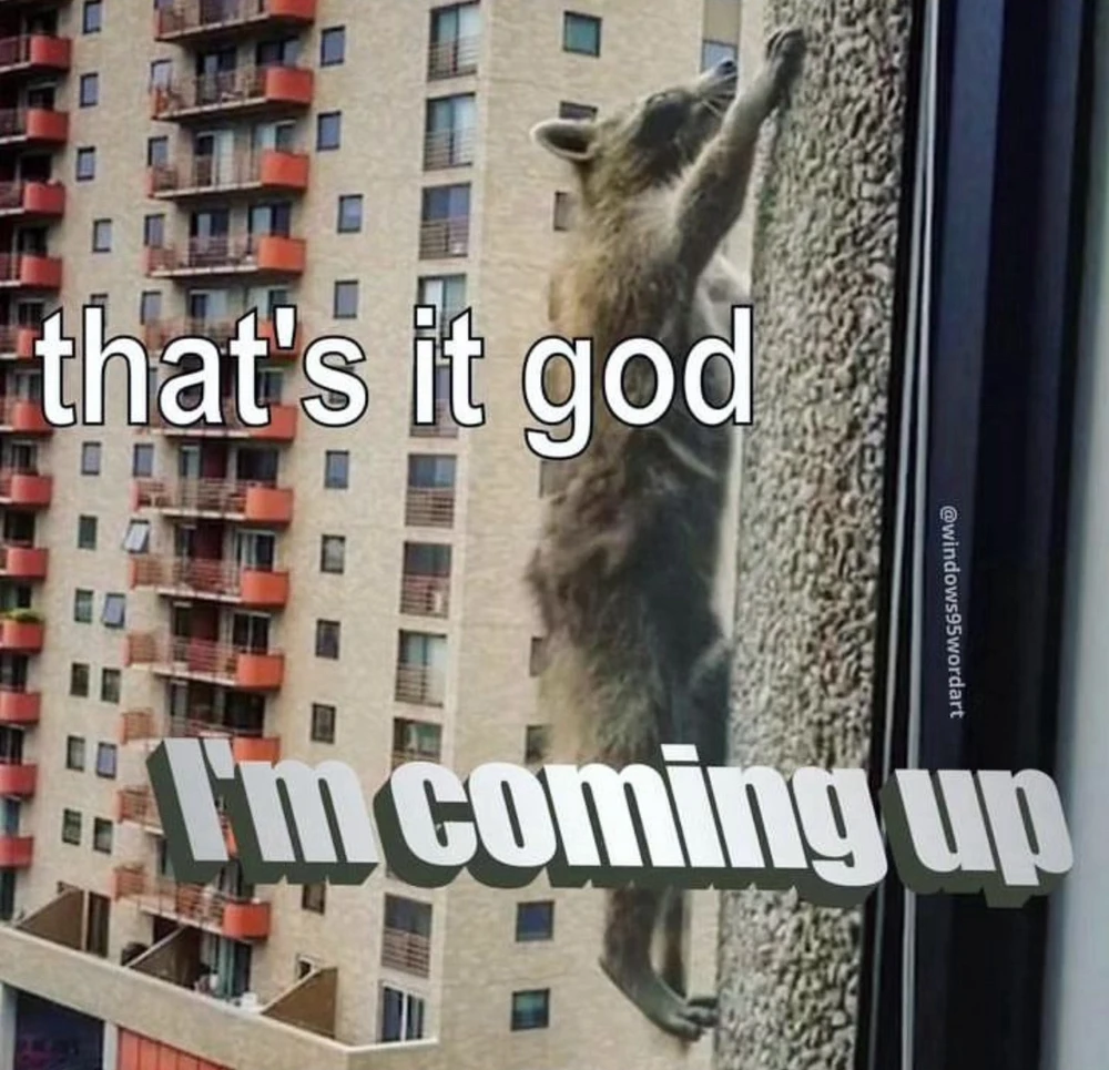 Dávid által feltöltött kép