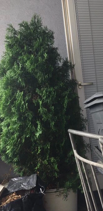 Bild hochgeladen von FunnyGirl  ✨🌙✨