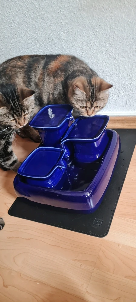 Bild hochgeladen von Jan