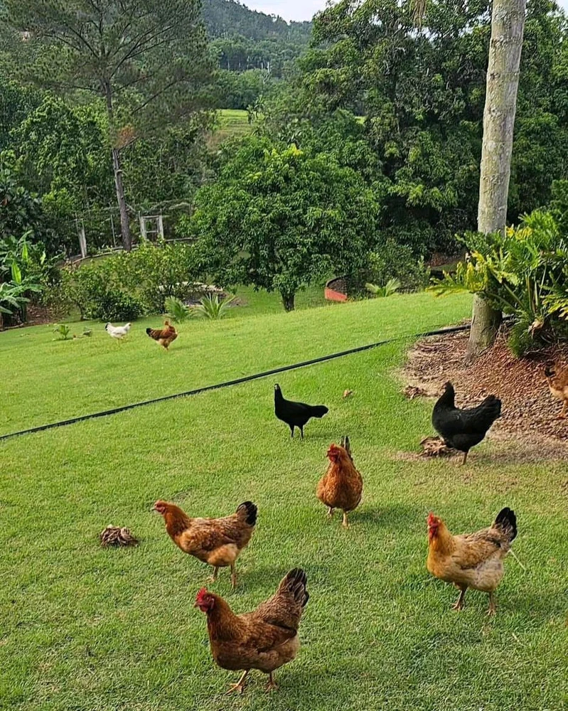 Image uploaded by Ruth