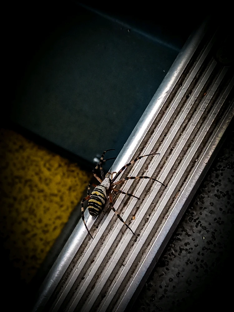 Obrázek nahrál Evelína