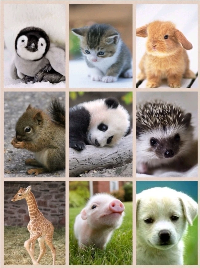 Imagen subida por Belén