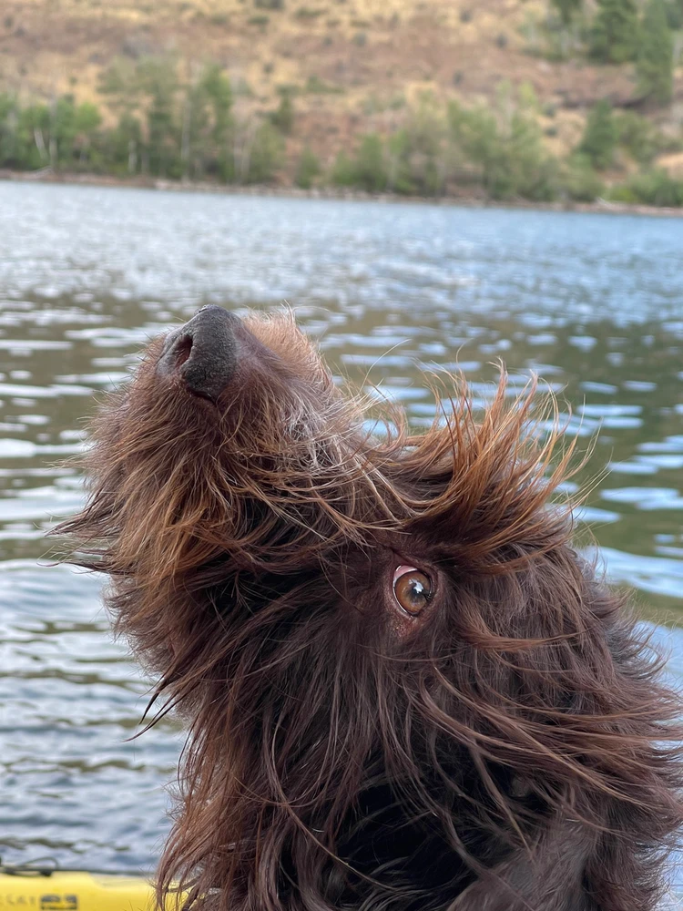 Image uploaded by Oliver