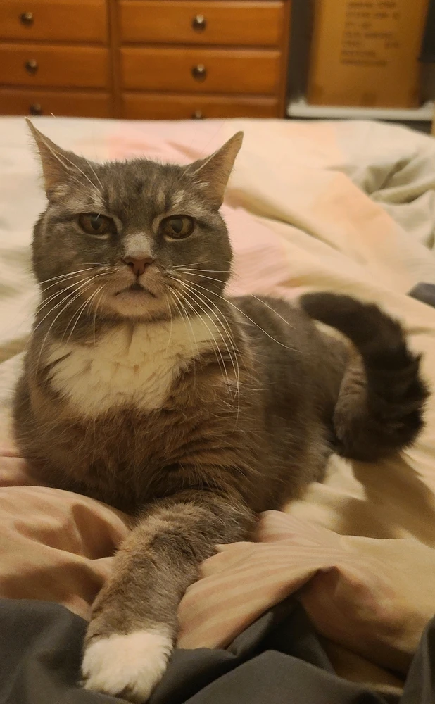 Image uploaded by Jeannie