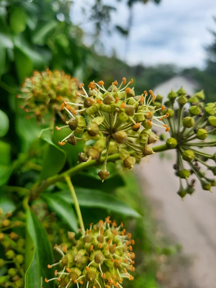Zdjęcie dodane przez Merci