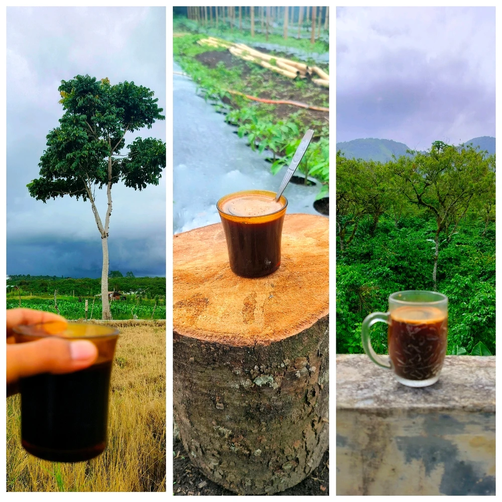 Studi dari University of Innsbruck (Austria)