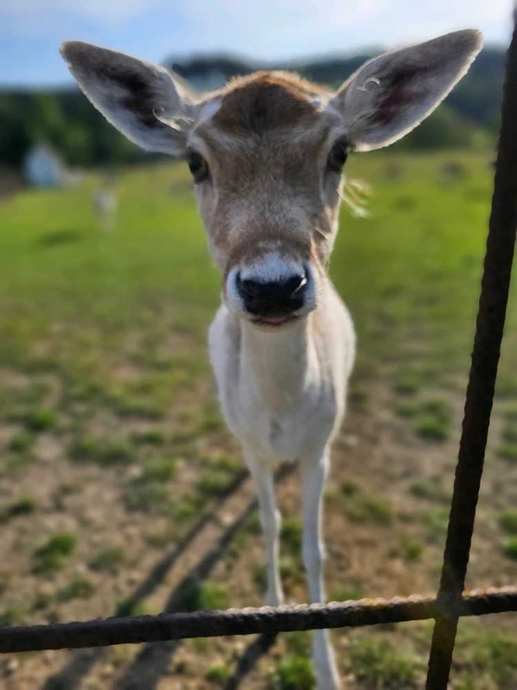 Bild hochgeladen von Tom