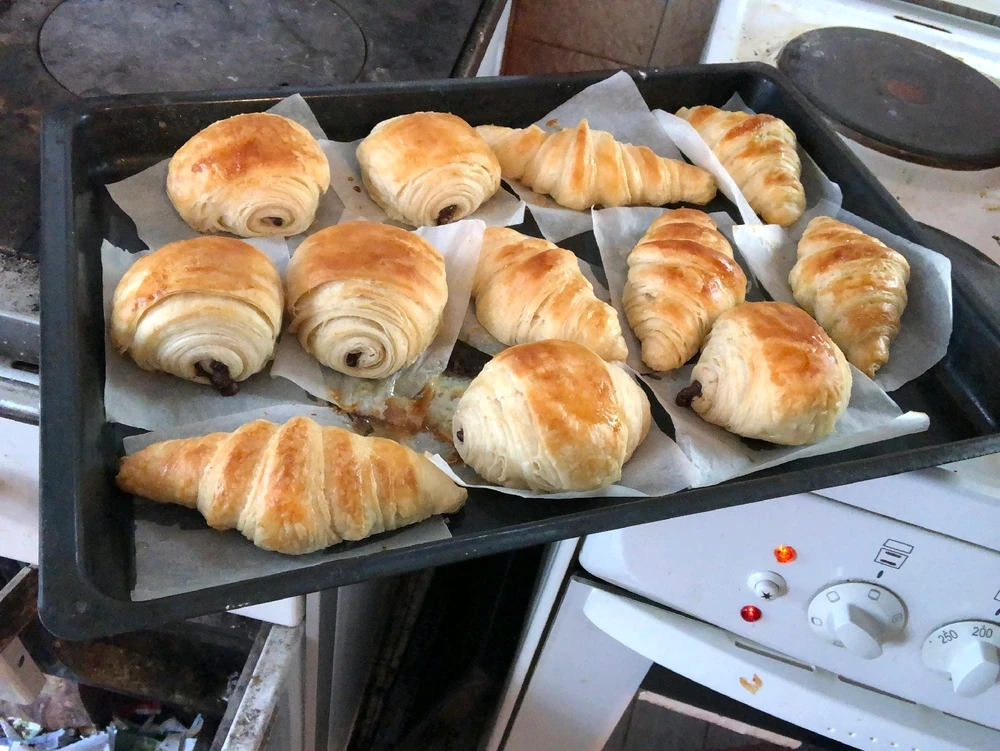 Image uploaded by piper