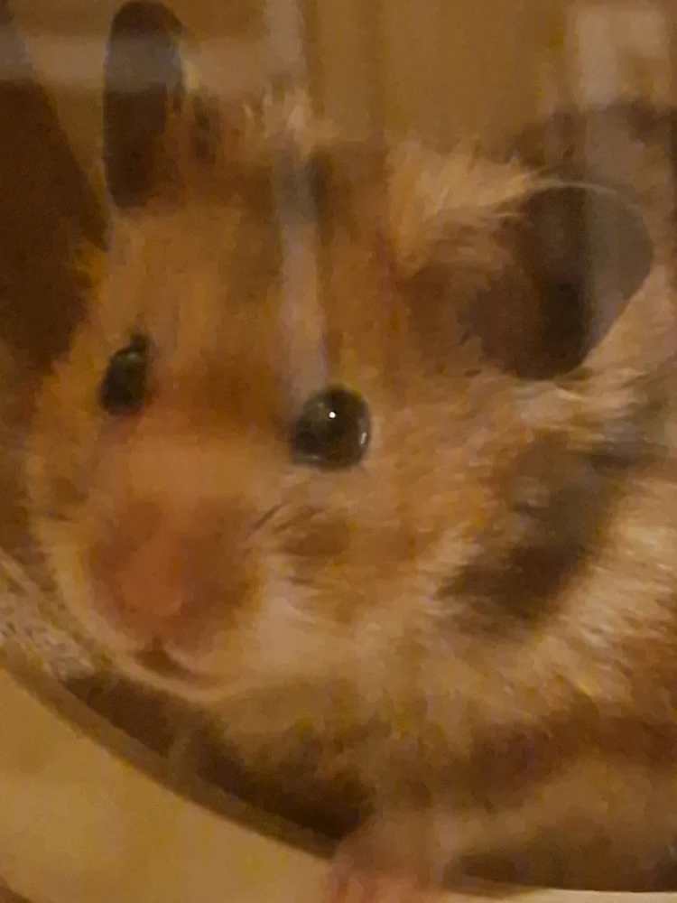 Bild hochgeladen von Natalie