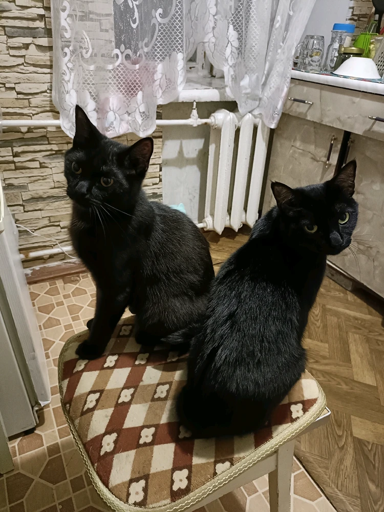 Зображення завантажив Ірина