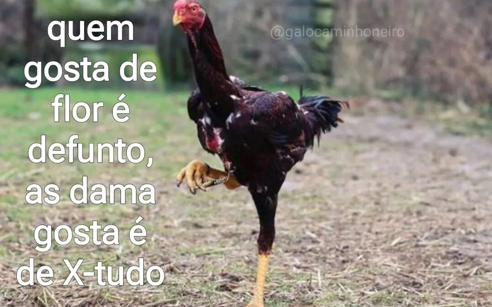 Imagem enviada por Eric