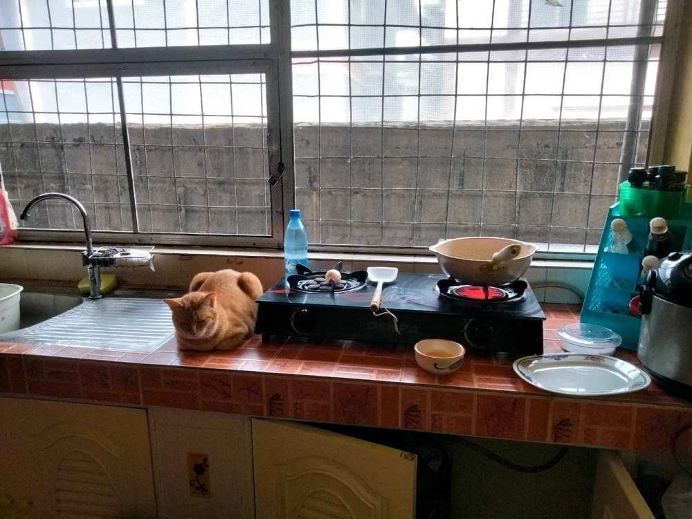 由Pat♡上传的图片