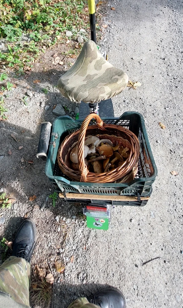 Obrázek nahrál Jirka