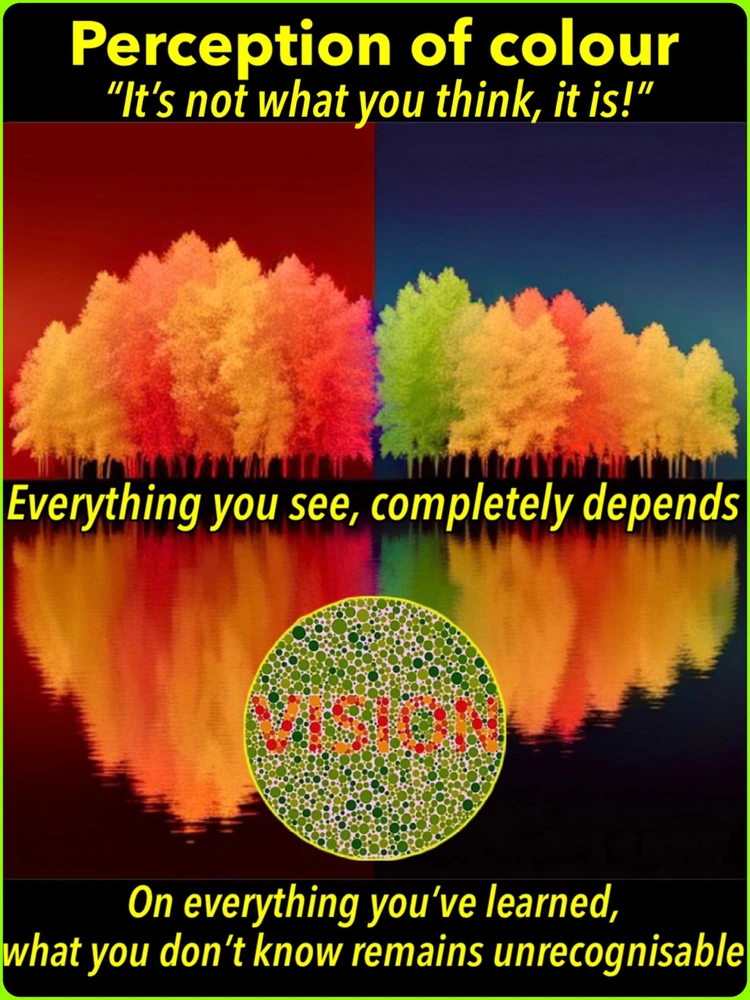 Image uploaded by Ford Davies