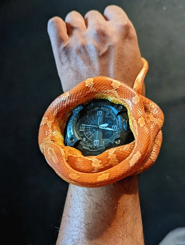 Image uploaded by Jonathan