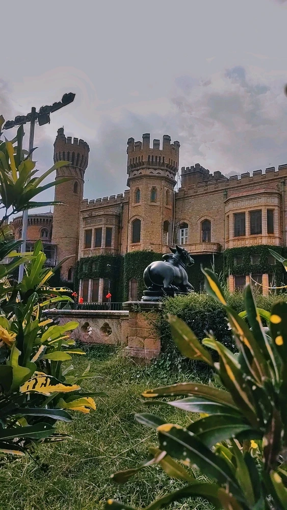 Image uploaded by Bob