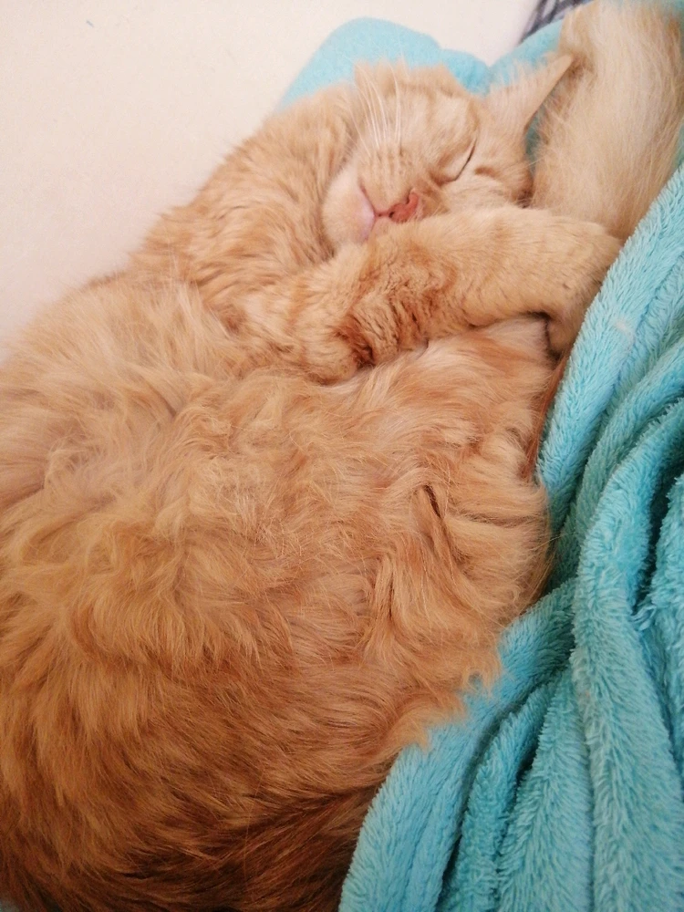 Imagen subida por Janett