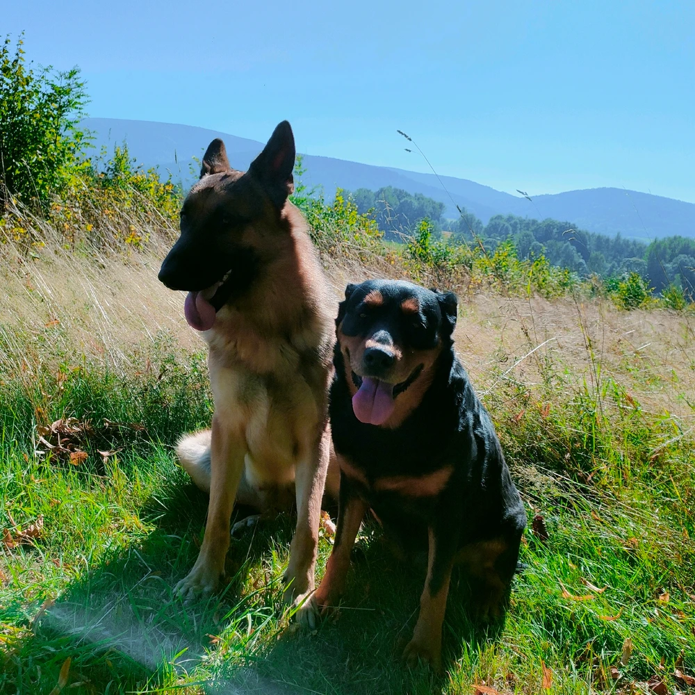 Obrázek nahrál Vladimír Gargi Řehák