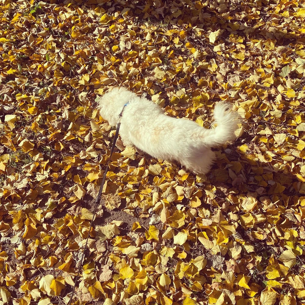 Фото загрузил Оля