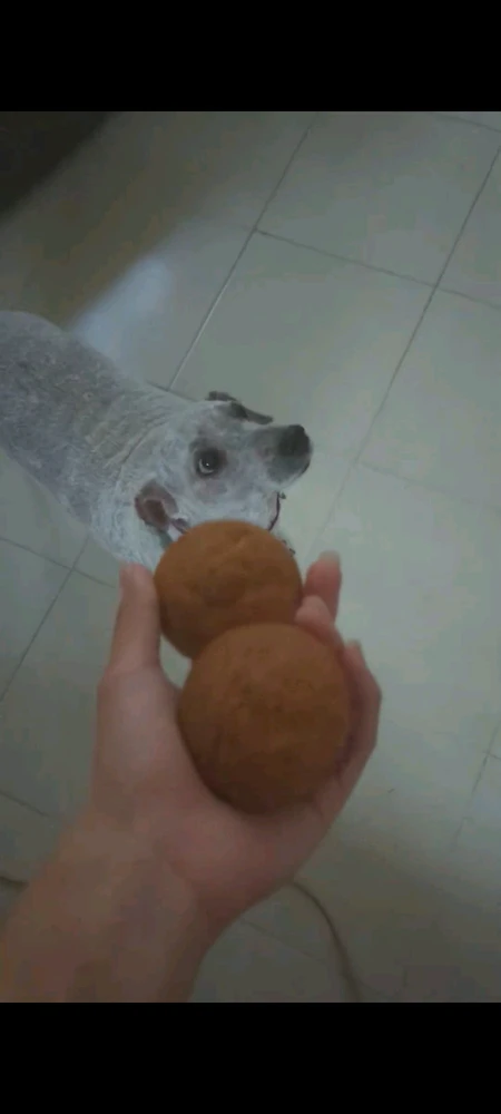 Imagen subida por Brayan