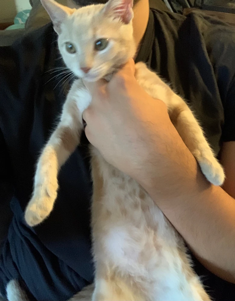 Image uploaded by Half retard