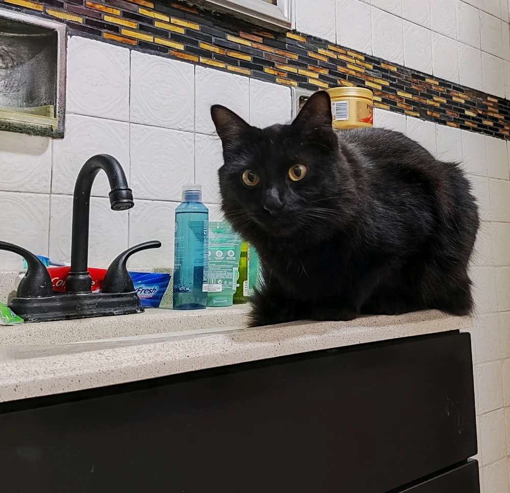 Image uploaded by Lizbeth 🏳️‍⚧️🏳️‍🌈